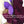 Carica l&#39;immagine nel visualizzatore Galleria, anemone Buy Kit Cardigan Anemone By Giuliano&amp;GiusyMarelli per VIACALIMALA .jpg
